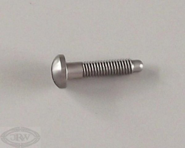 P4 rear lamp screw