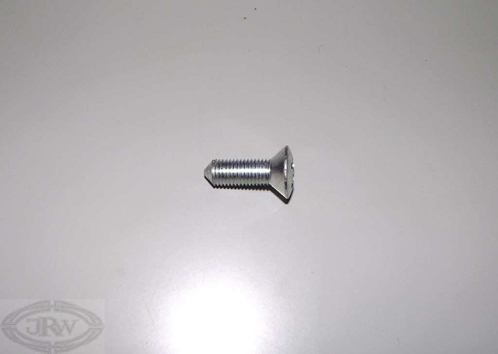 P5 hinge screw